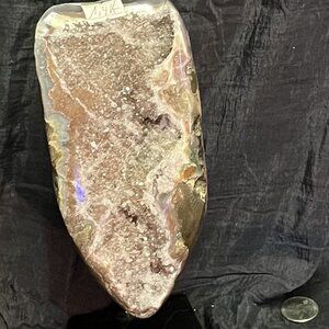 Beautiful Geo on Stand